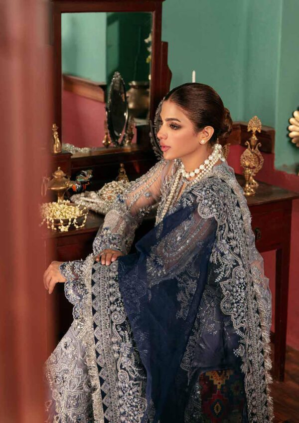 My Fashion Road Maryam Hussain Gulaab Wedding Chiffon Collection 2022 | Chandni